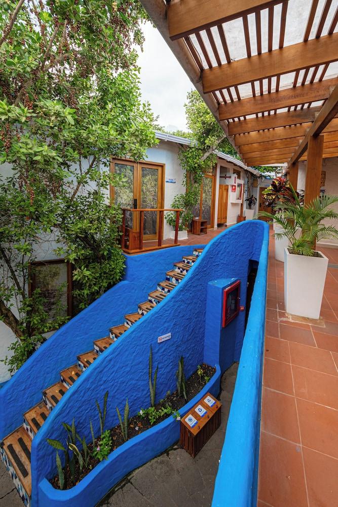 Red Mangrove Aventura Lodge 1147398 — 2