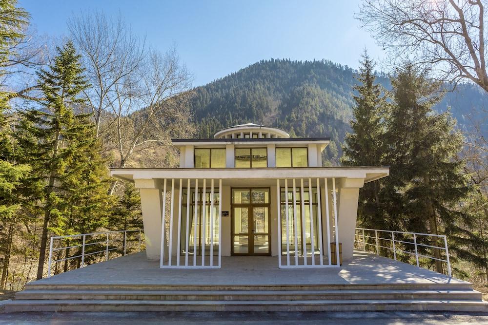 Borjomi Likani Hotel, Borjomi — 4
