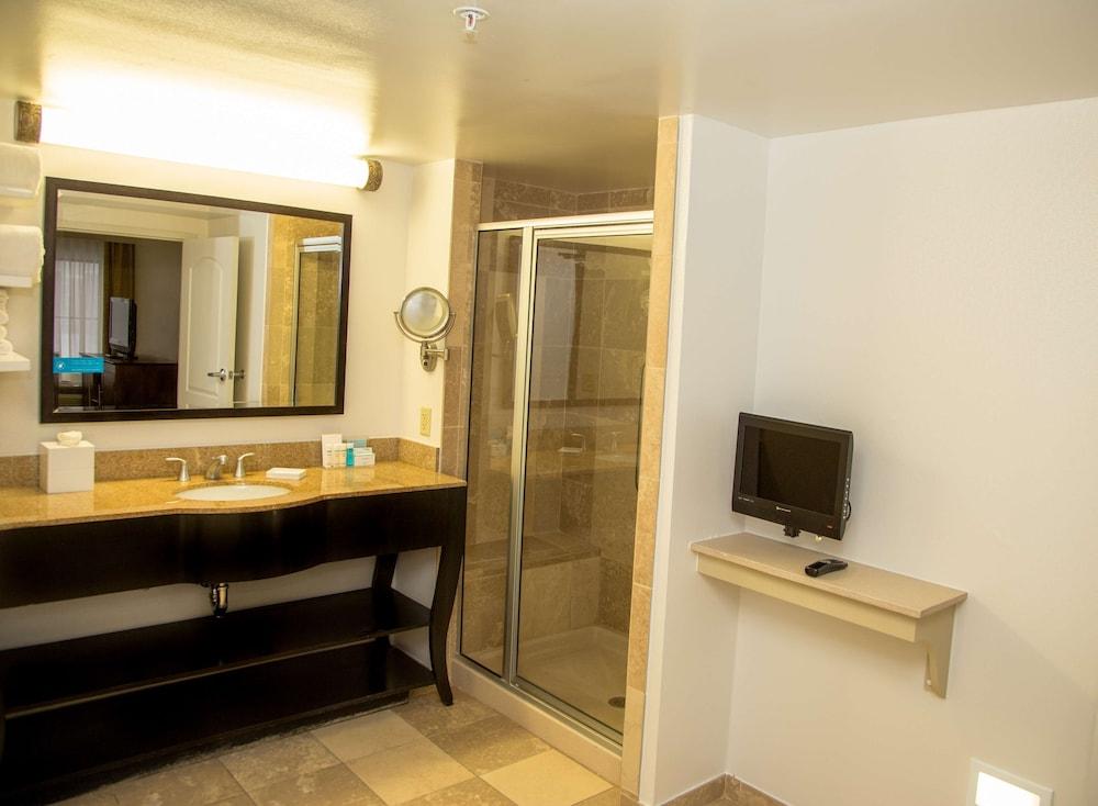 Hampton Inn Suites Albany Downtown — 9