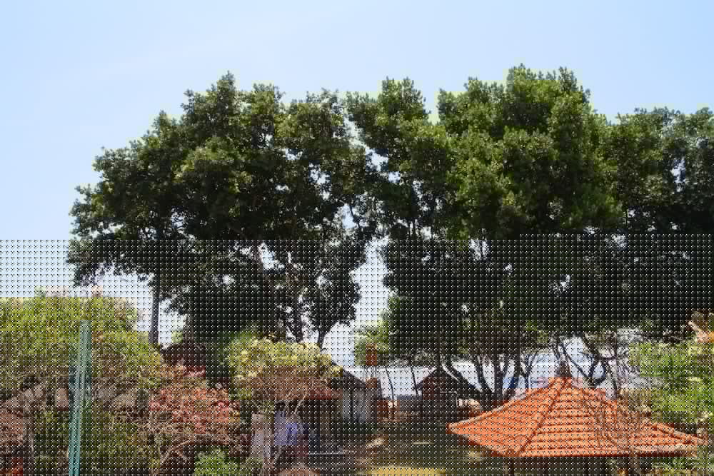 Inna Sindhu Beach Hotel and Resort 71804