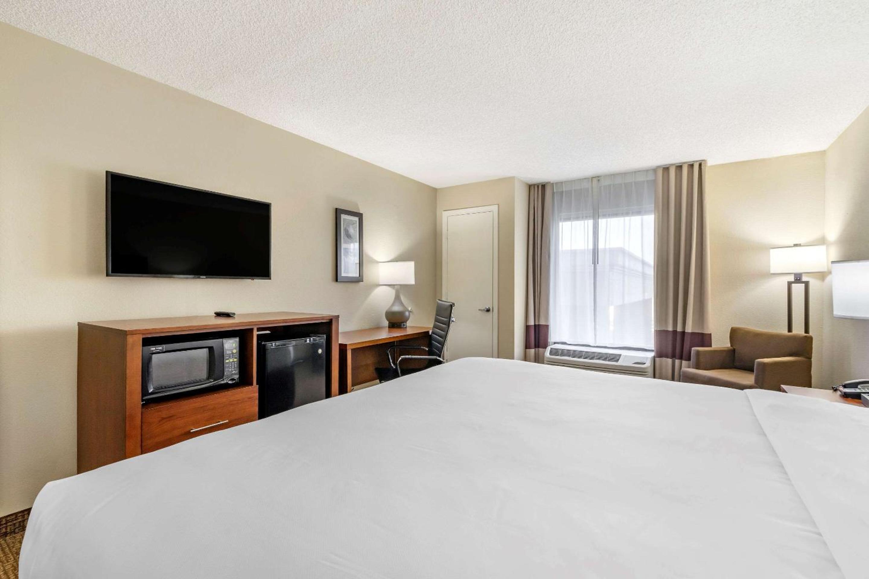 Comfort Inn & Suites St. Pete - Clearwater International Airport — 7