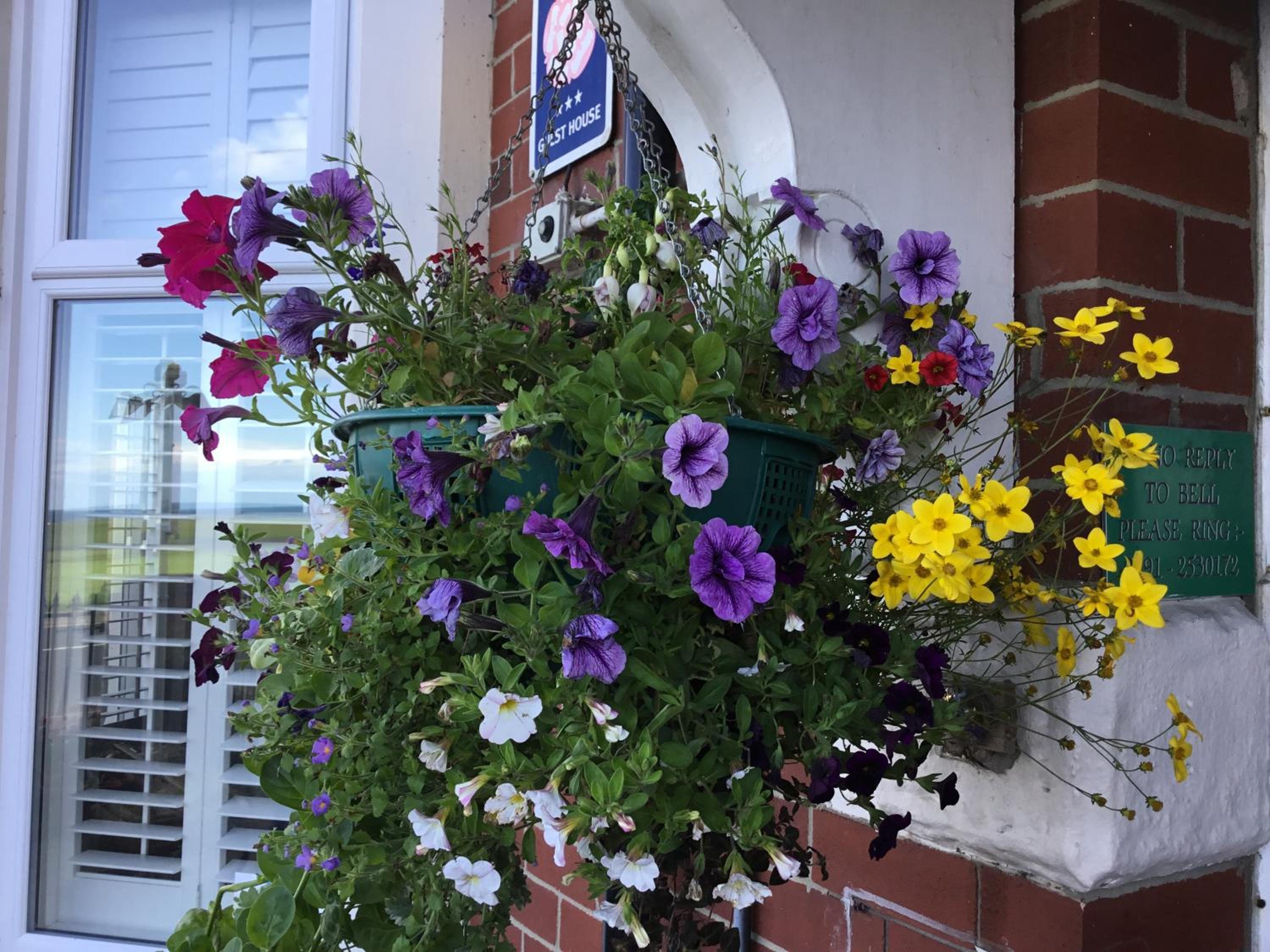 The Cara Guesthouse — 1