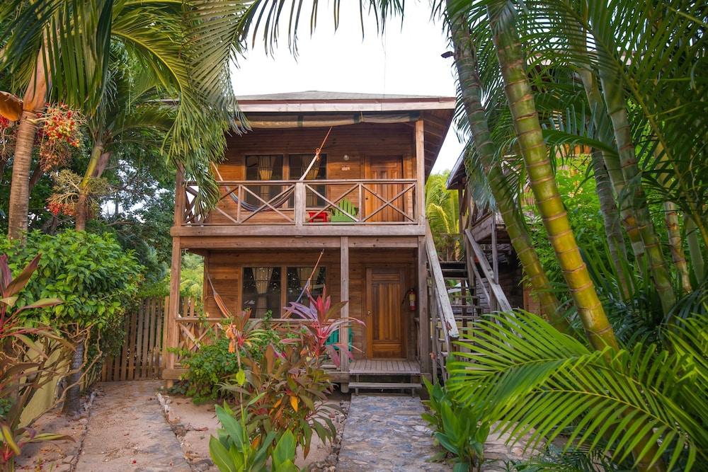 Las Rocas Resort And Dive Center — 3