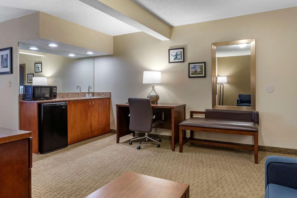 Comfort Inn Near Greenfield Village — 5