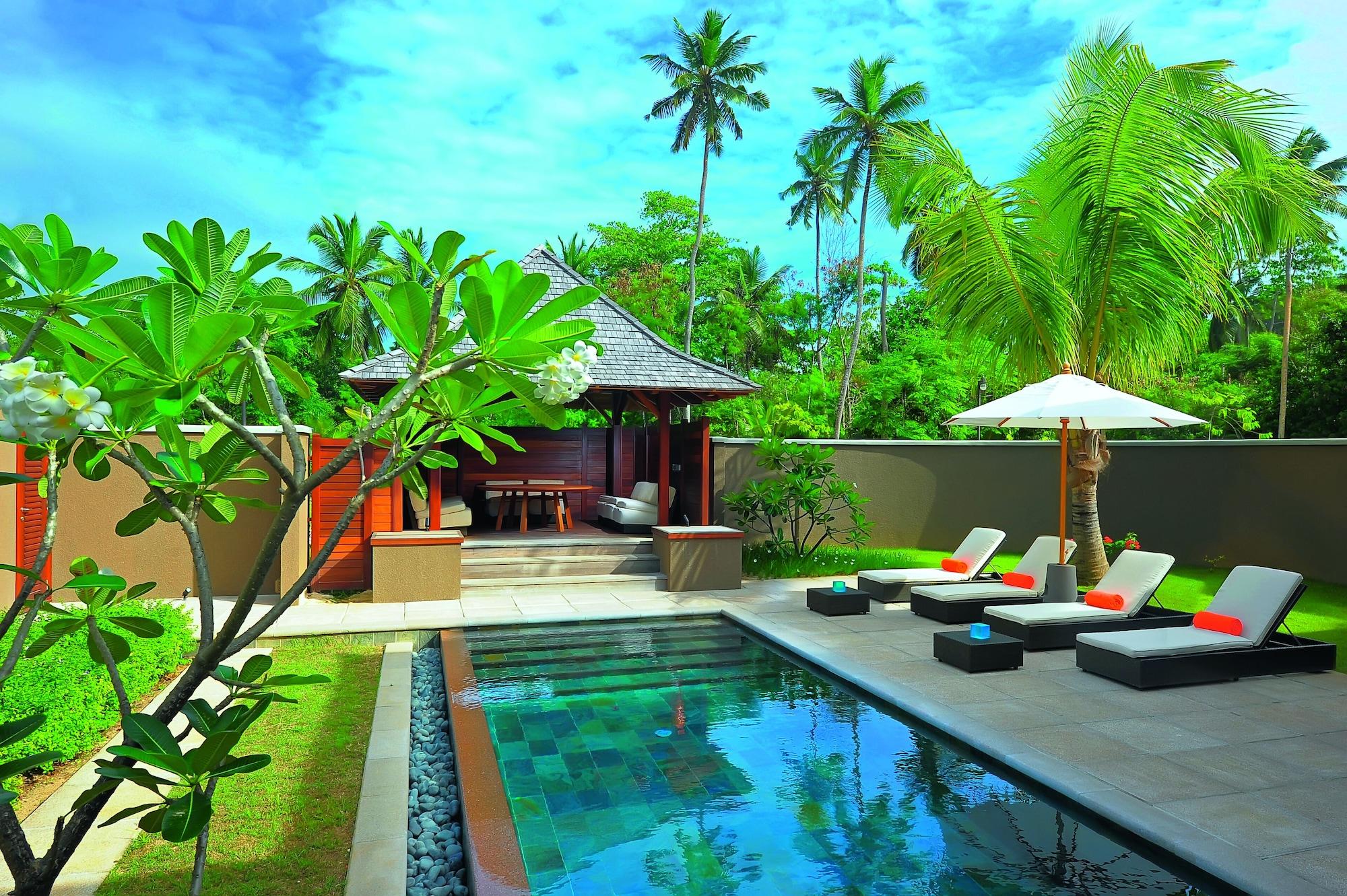 Constance Ephelia Seychelles — 7