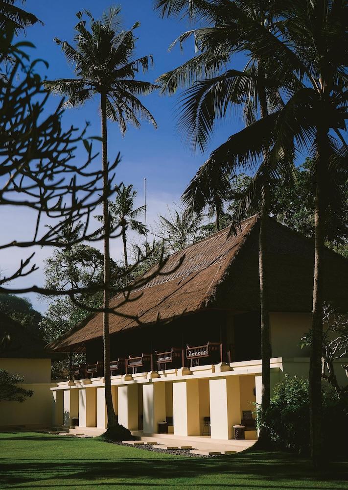 Alila Manggis — 5