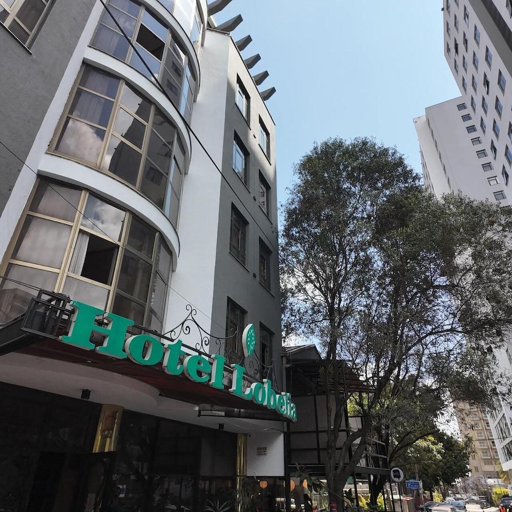 Lobelia Hotel — 3