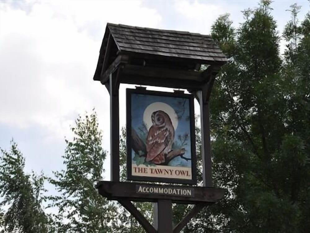 The Tawny Owl — 4