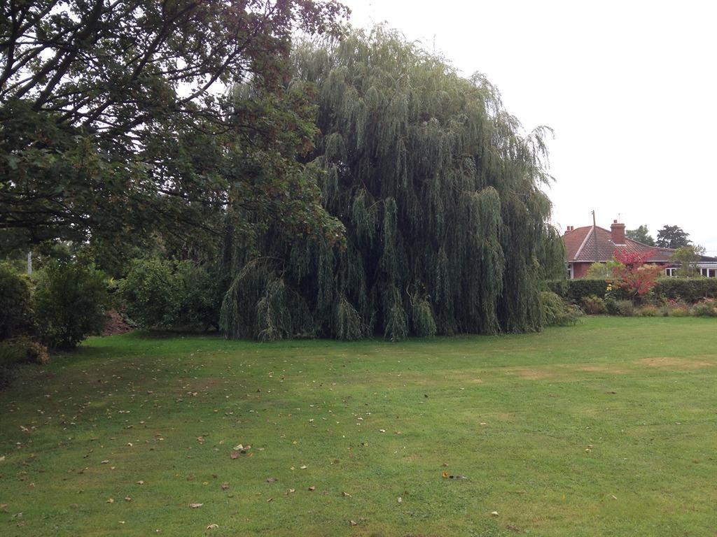 Primrose Lodge B&B — 9