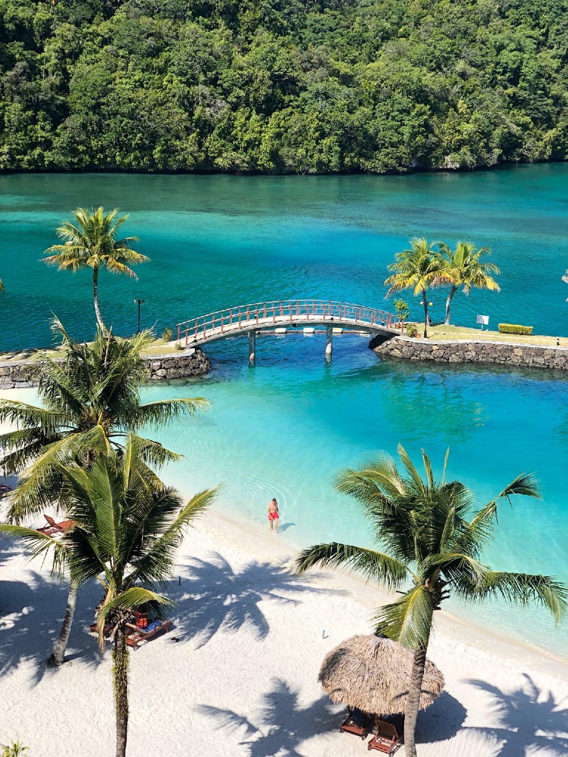 Palau Royal Resort 1096848 — 2