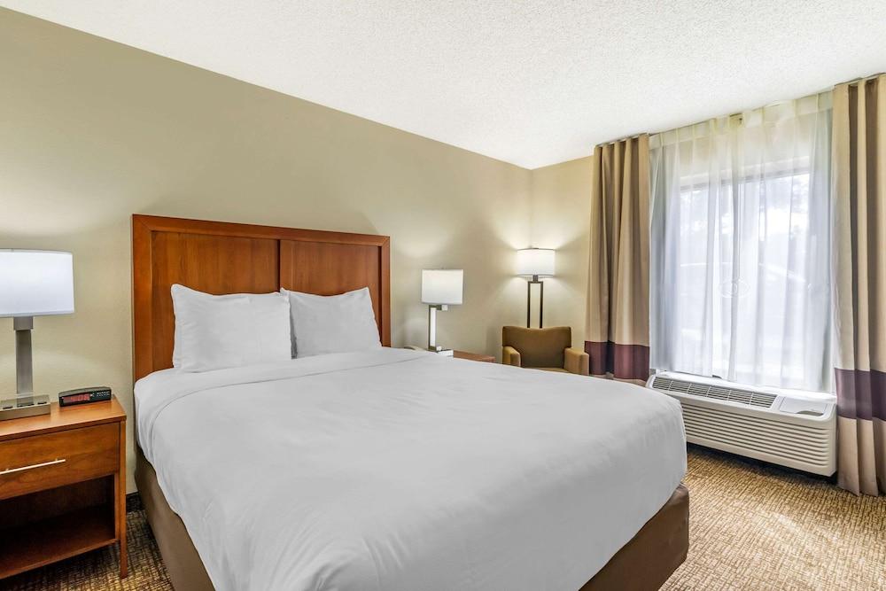 Comfort Inn & Suites St. Pete - Clearwater International Airport — 10
