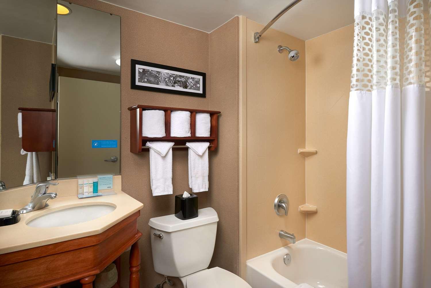 Hampton Inn Ann Arbor-South — 3