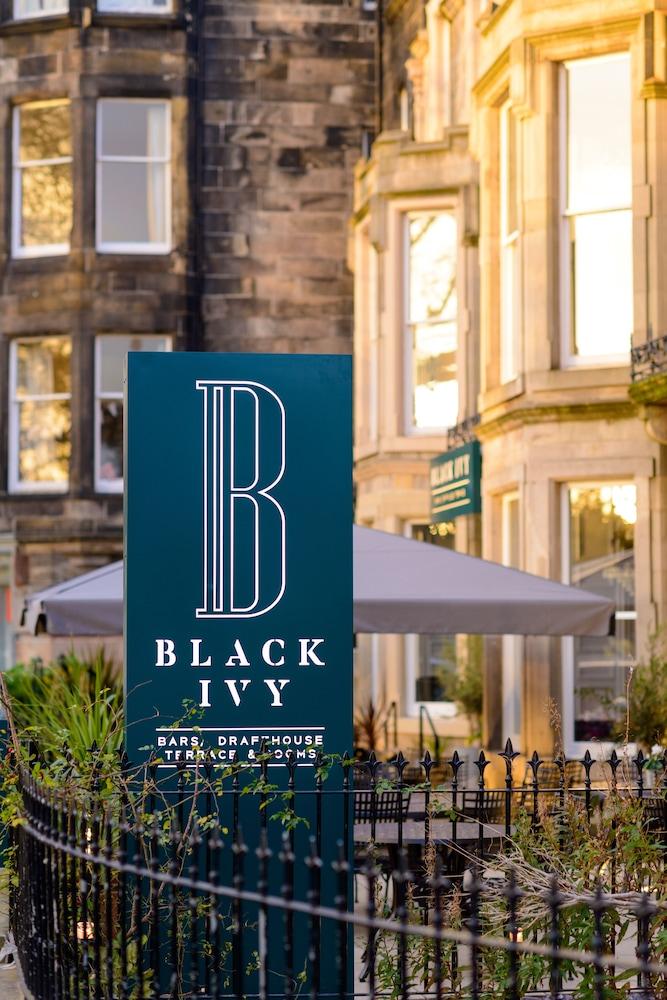 Black Ivy — 1