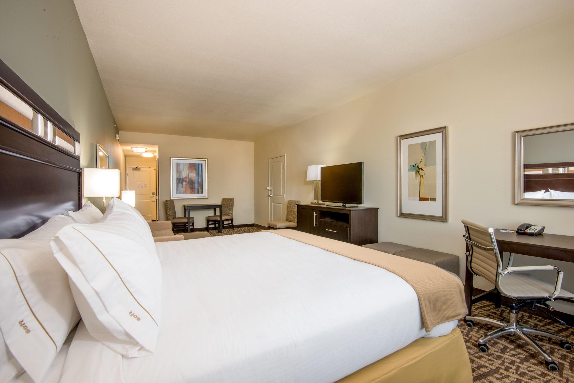 Holiday Inn Express & Suites Denver South - Castle Rock — 9