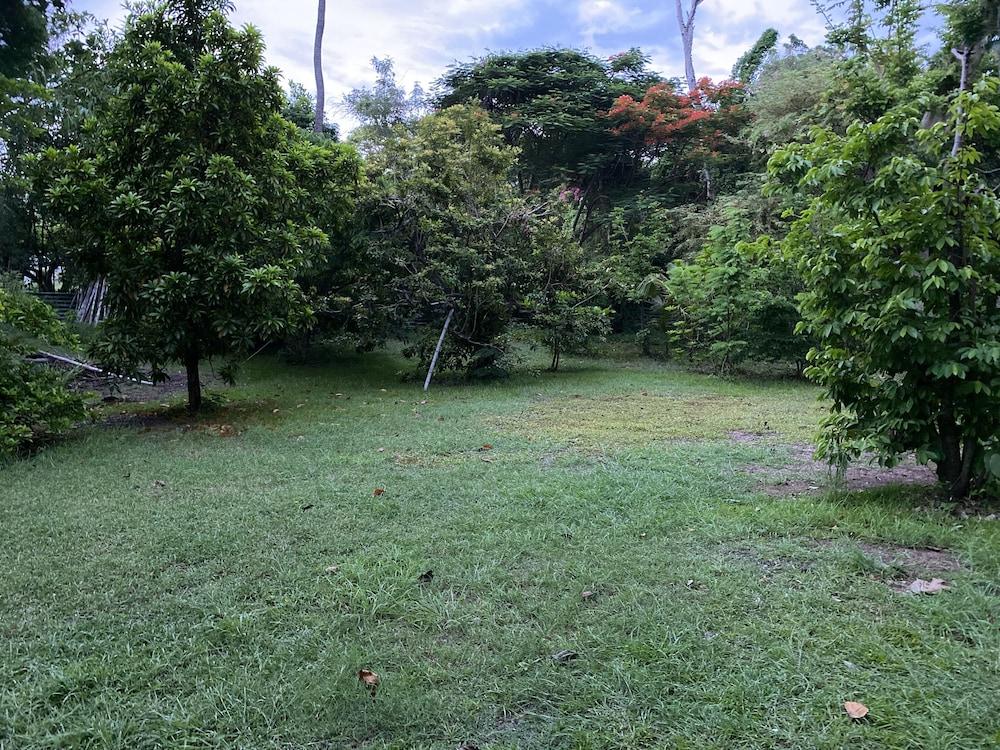 The Barbados CHI Centre 1213008 — 3