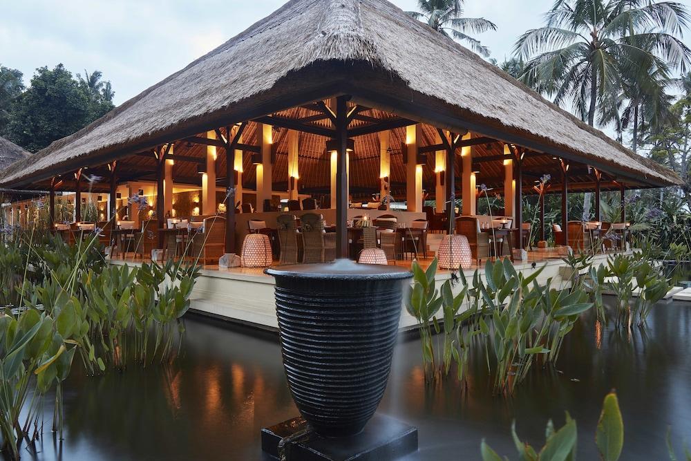 Alila Manggis — 2