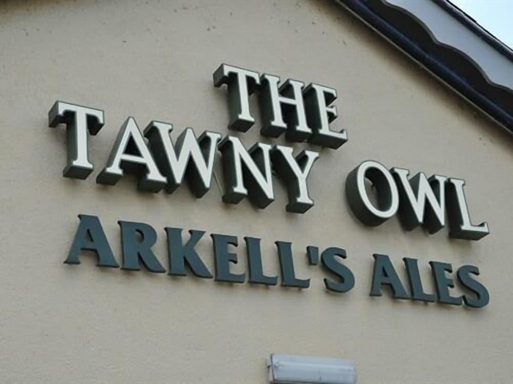 The Tawny Owl — 2