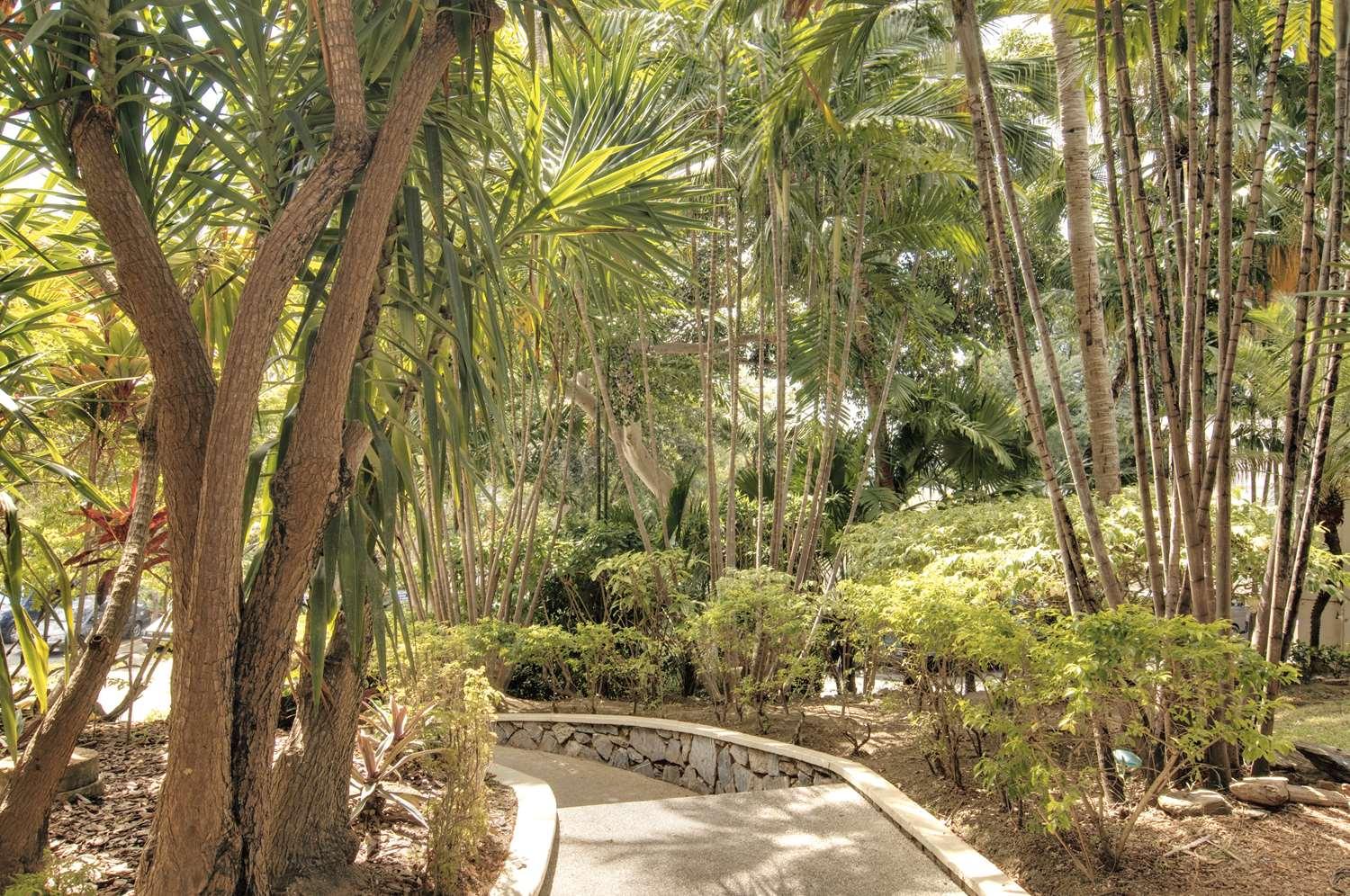 Hilton Trinidad & Conference Centre — 8