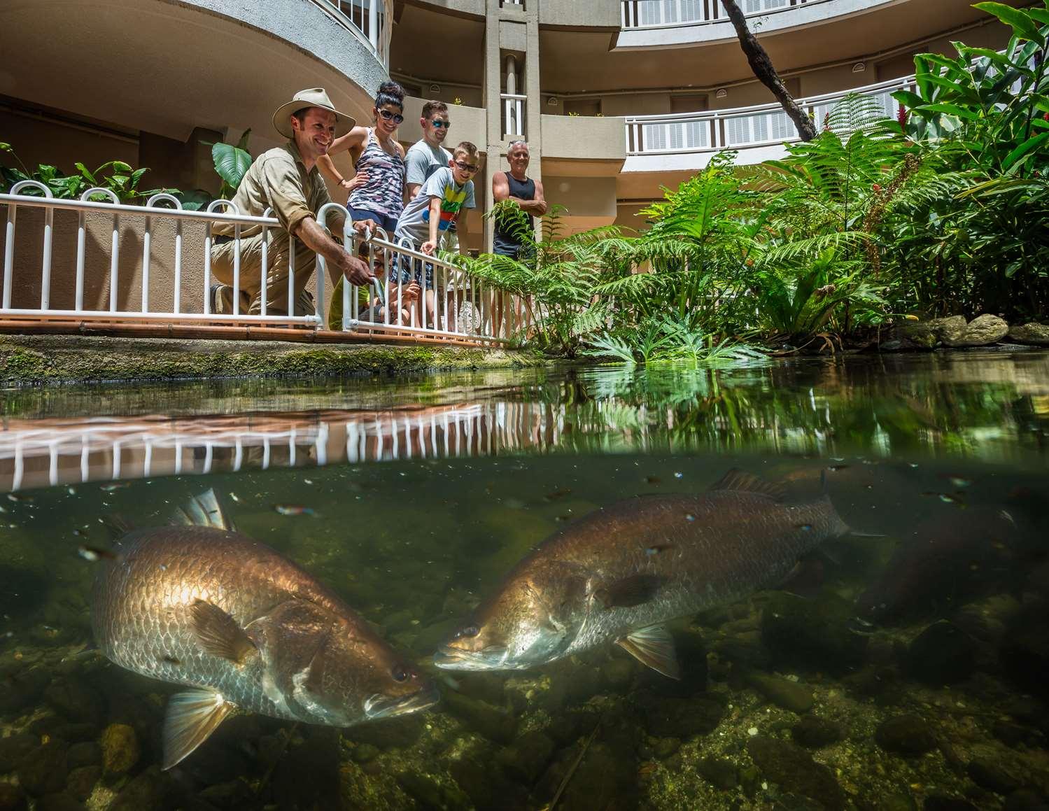 DoubleTree by Hilton Hotel Cairns — 7