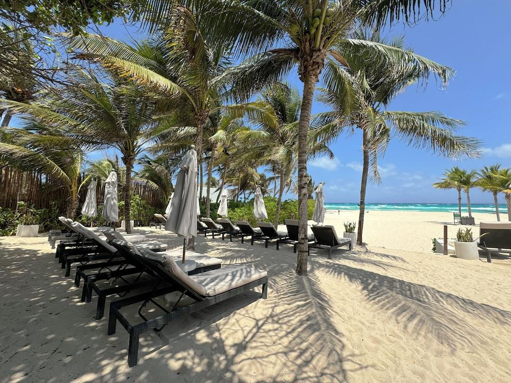 The Reef Playacar Resort and Spa Optional All Inclusive 94172 — 3