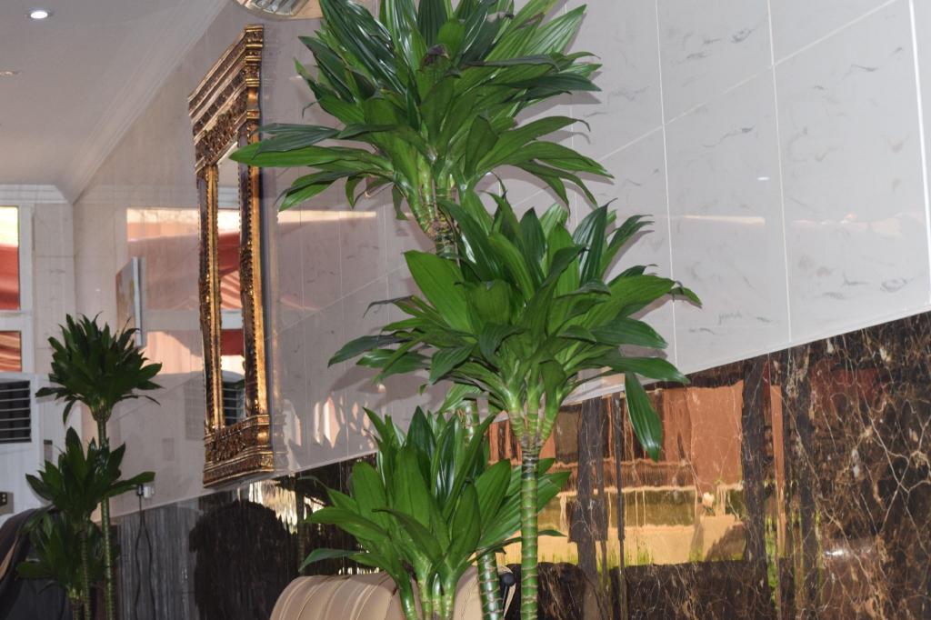 MARHABA RESORT AND HOTEL — 5