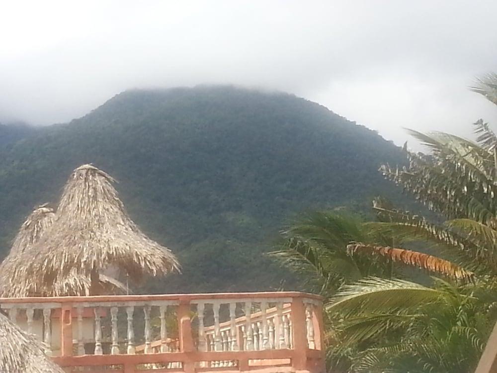 La Delphina Bed and Breakfast Bar and Grill — 5