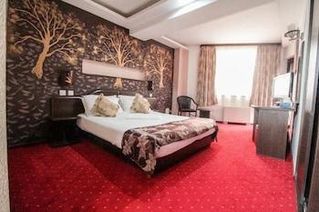 RAZVAN HOTEL — 10