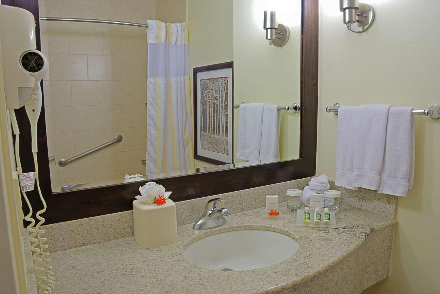 Hilton Garden Inn Guanacaste Airport 171756 — 3