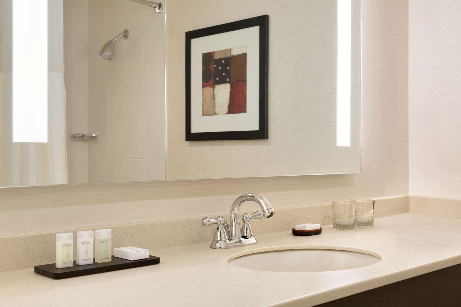 Embassy Suites by Hilton Chicago North Shore Deerfield — 3
