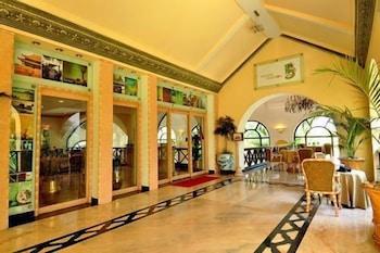 GOLDEN PALMS SPA