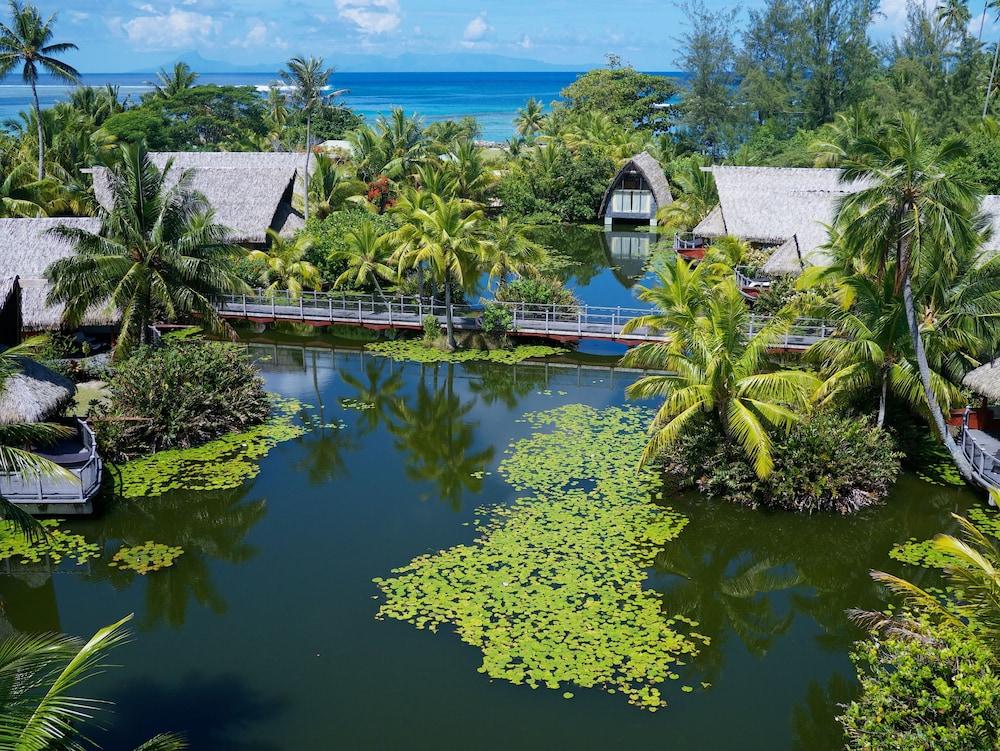 Maitai Lapita Village Huahine — 6