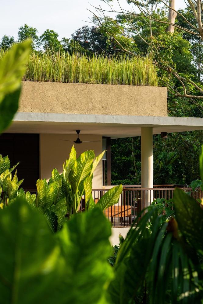 Alila Ubud — 6