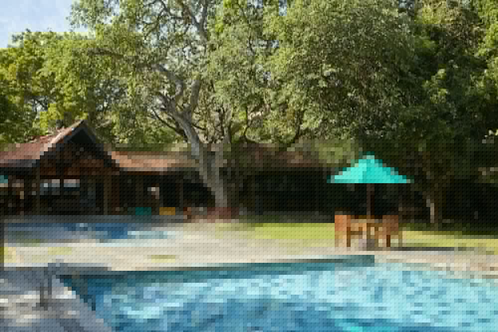 Sigiriya Hotel 88882 — 5