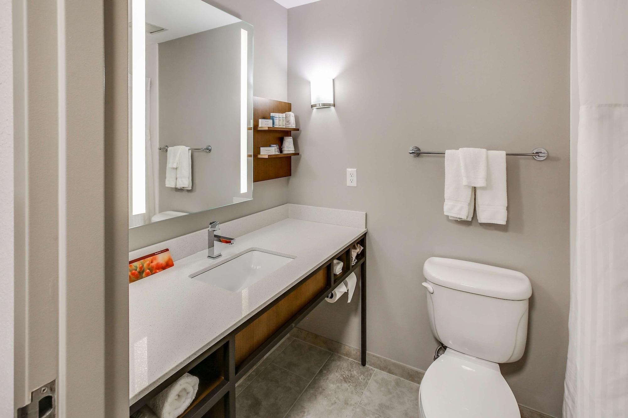 Hilton Garden Inn Ames — 7