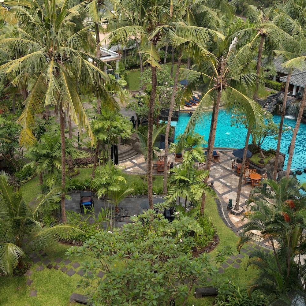 MELIA PUROSANI — 6