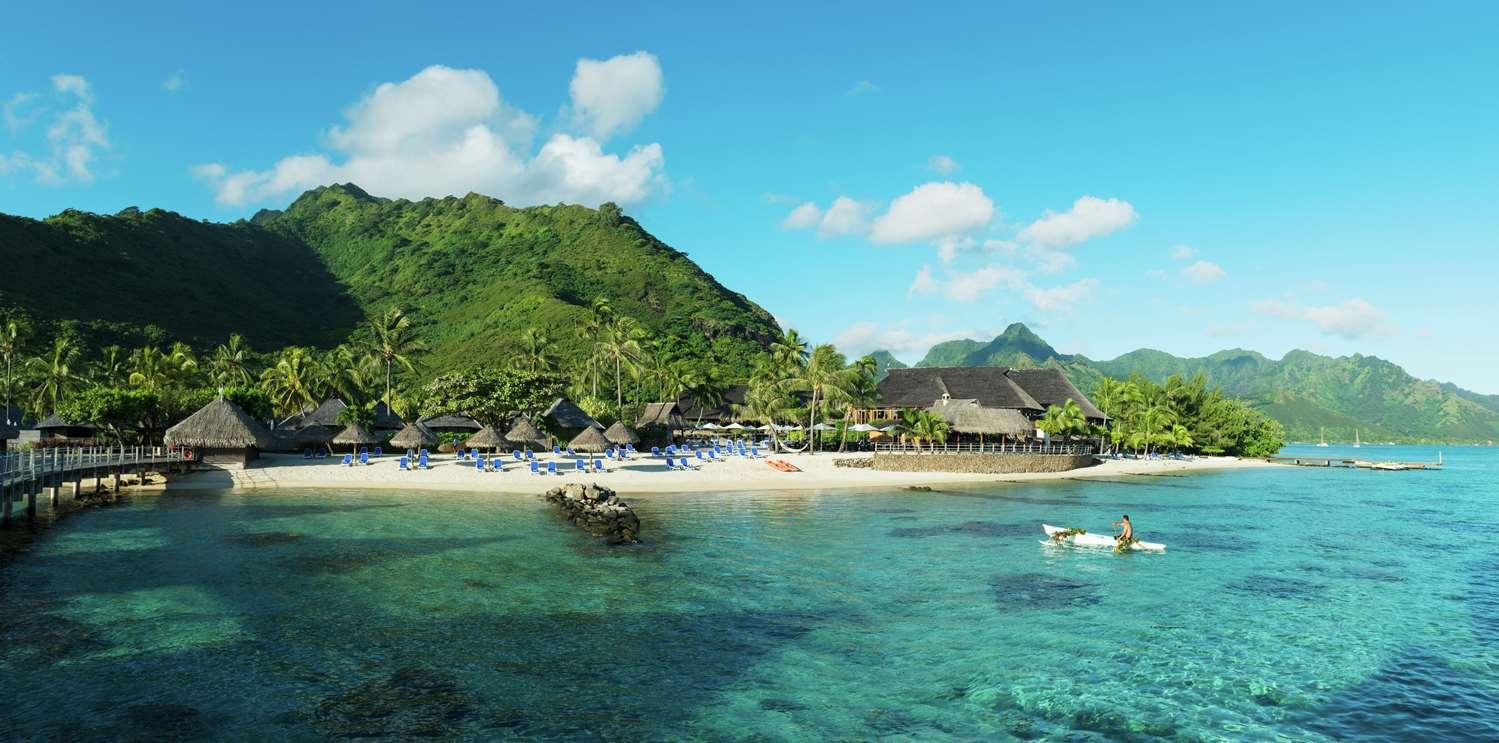 Hilton Moorea Lagoon Resort and Spa — 8