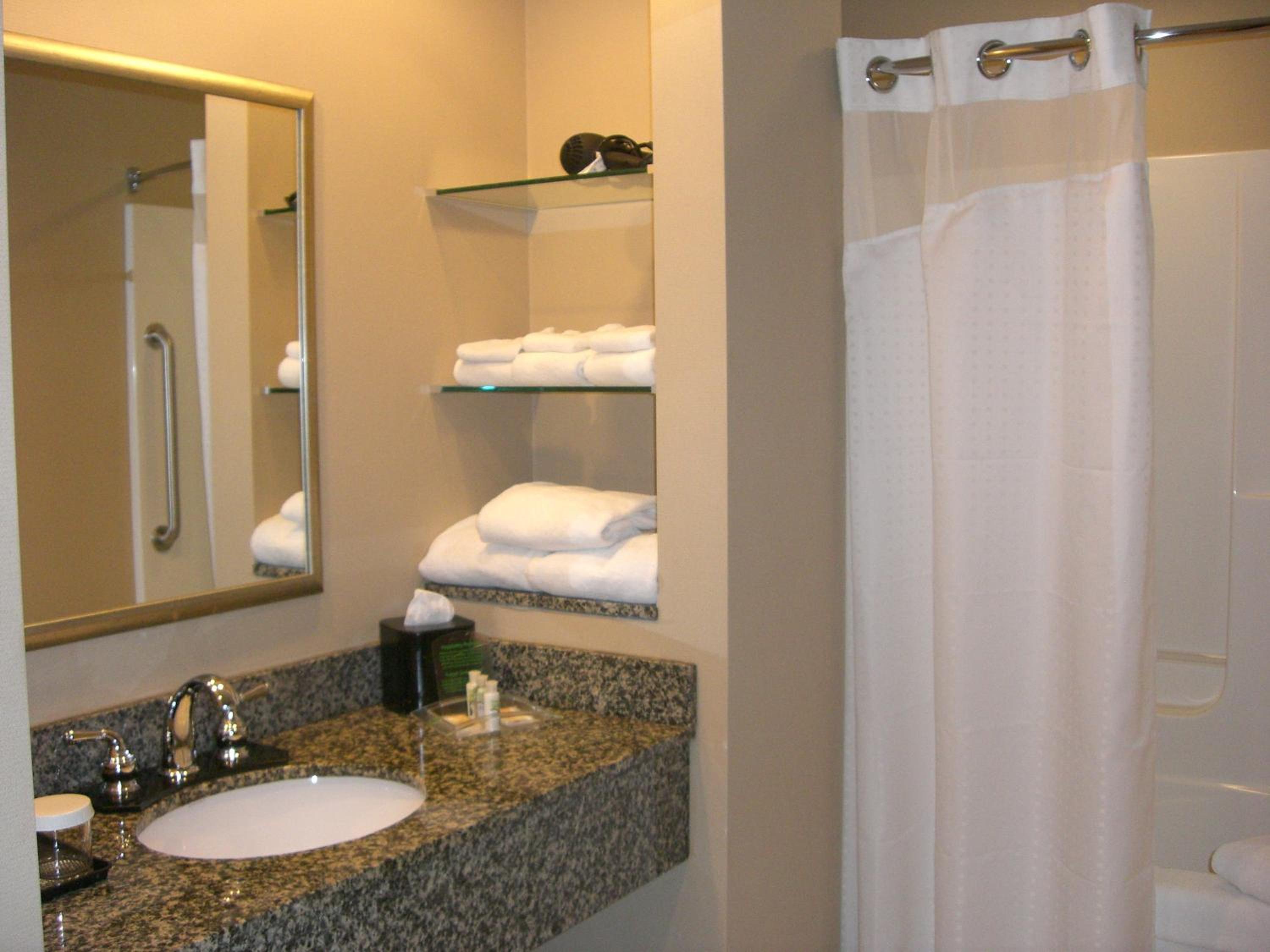 HOLIDAY INN HOTEL AND SUITES ST. PAUL NE - LAKE ELMO — 10