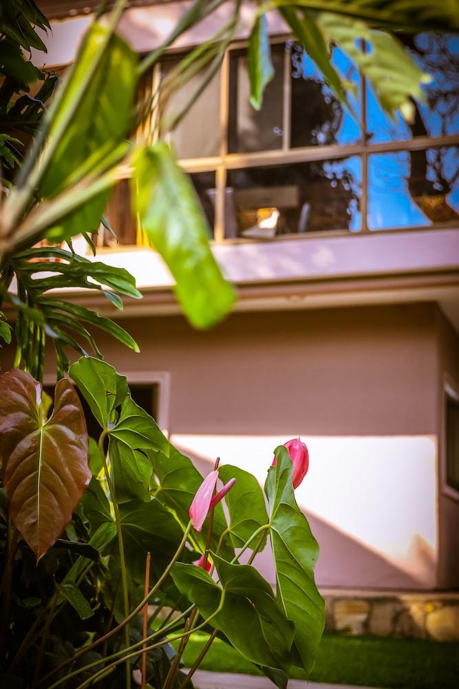 Zawadi House — 9