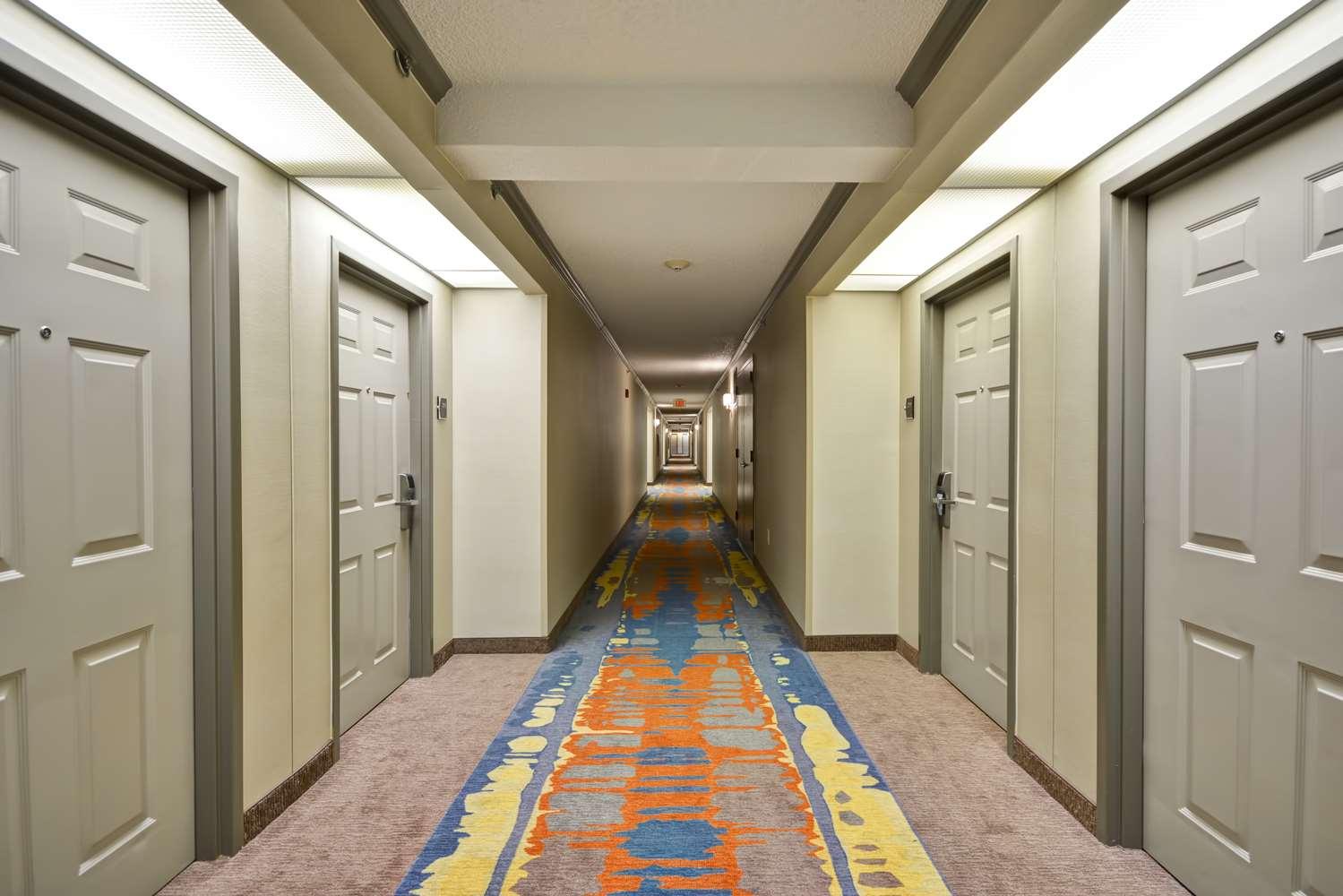Homewood Suites By Hilton Durham — 3