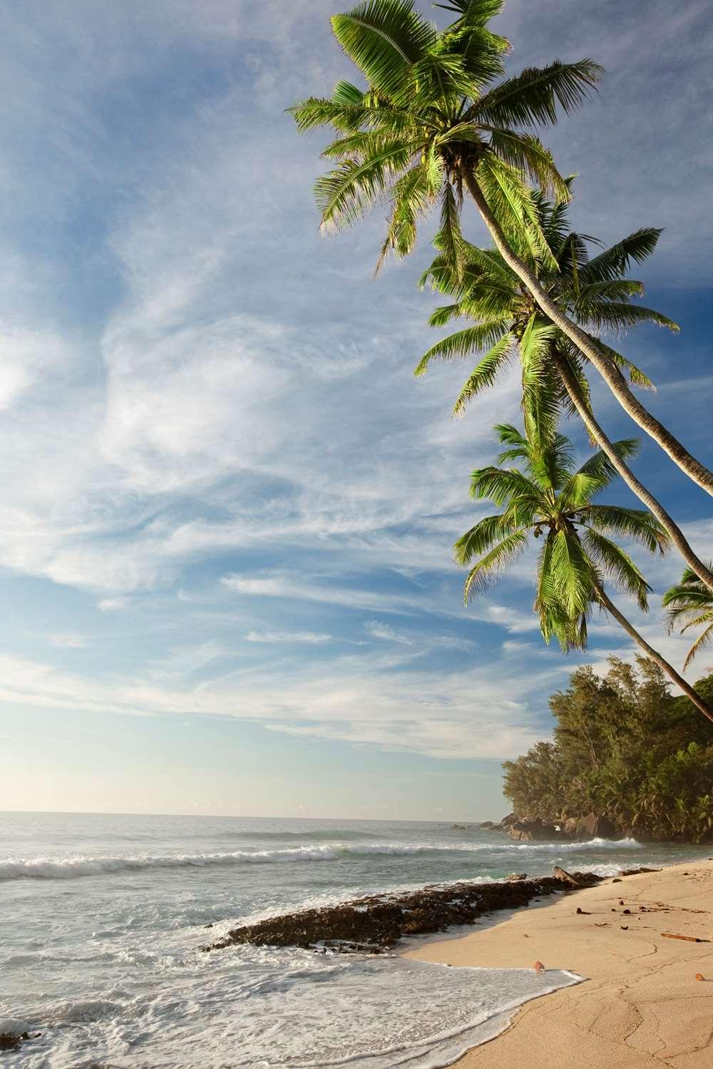 Hilton Seychelles Labriz Resort and Spa — 8