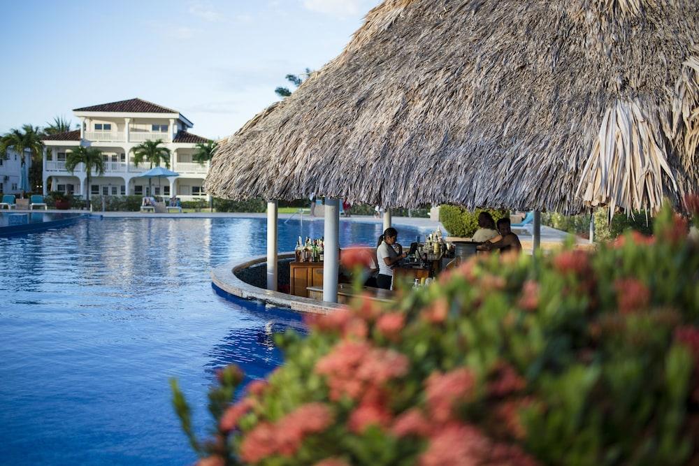 The Placencia — 8