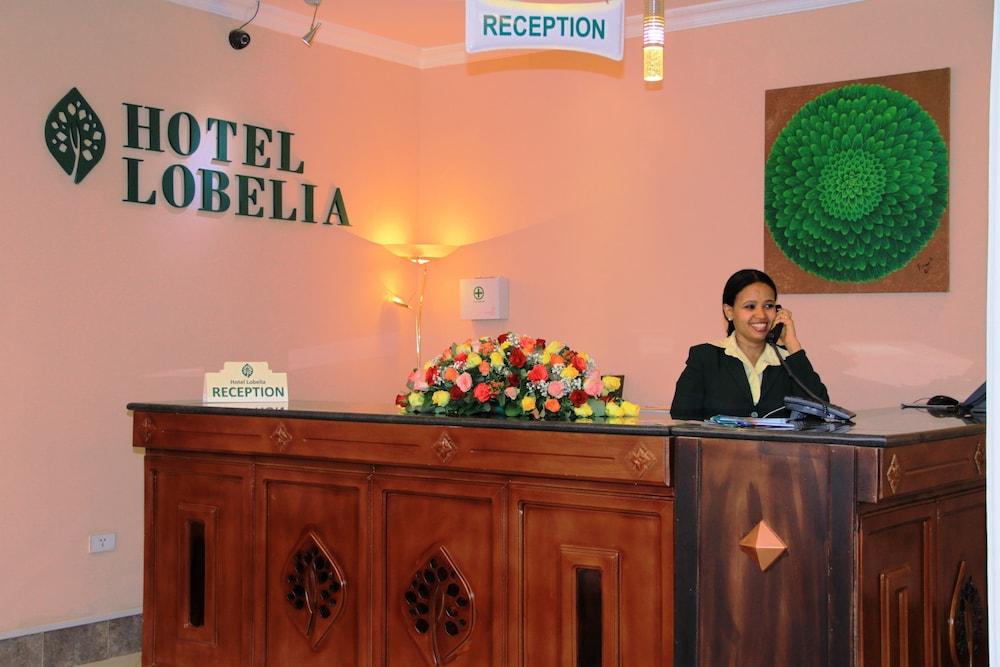 Lobelia Hotel — 9