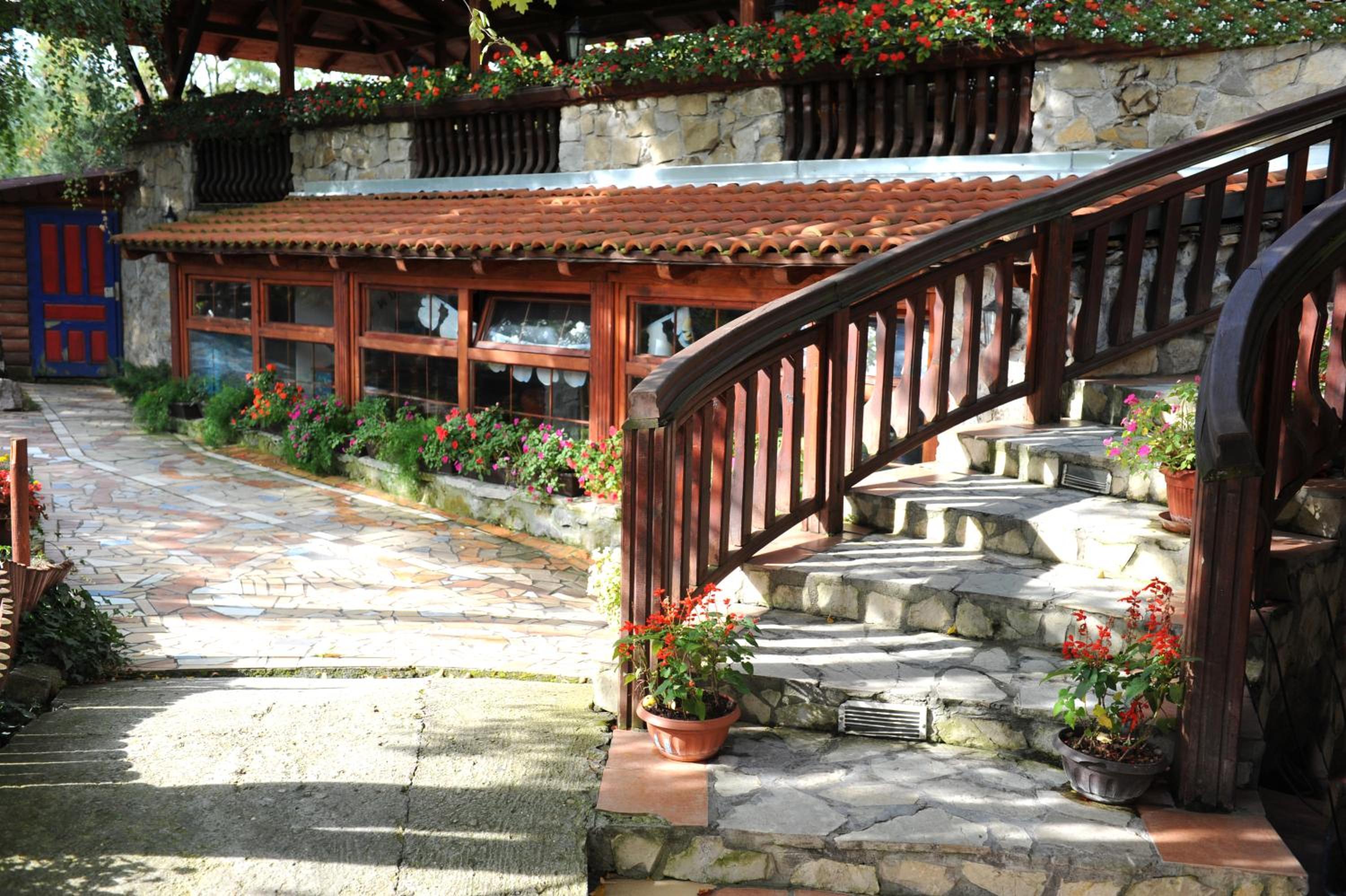 Centar Balasevic — 8