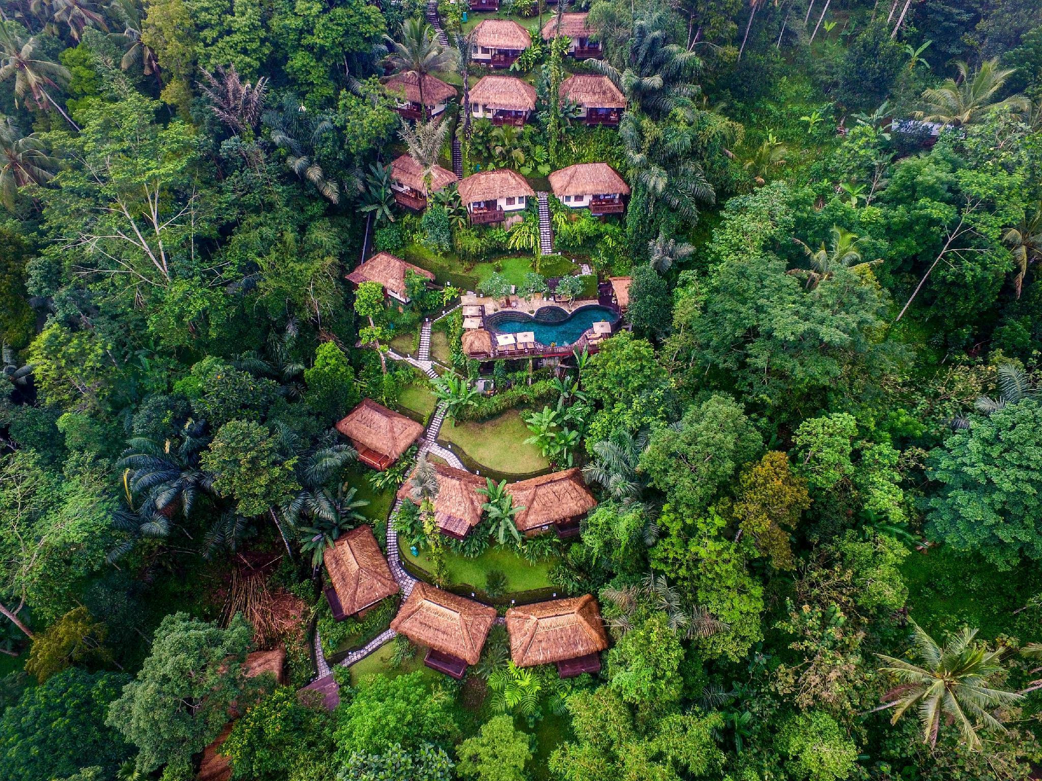 Nandini Jungle by Hanging Gardens 62664 — 4