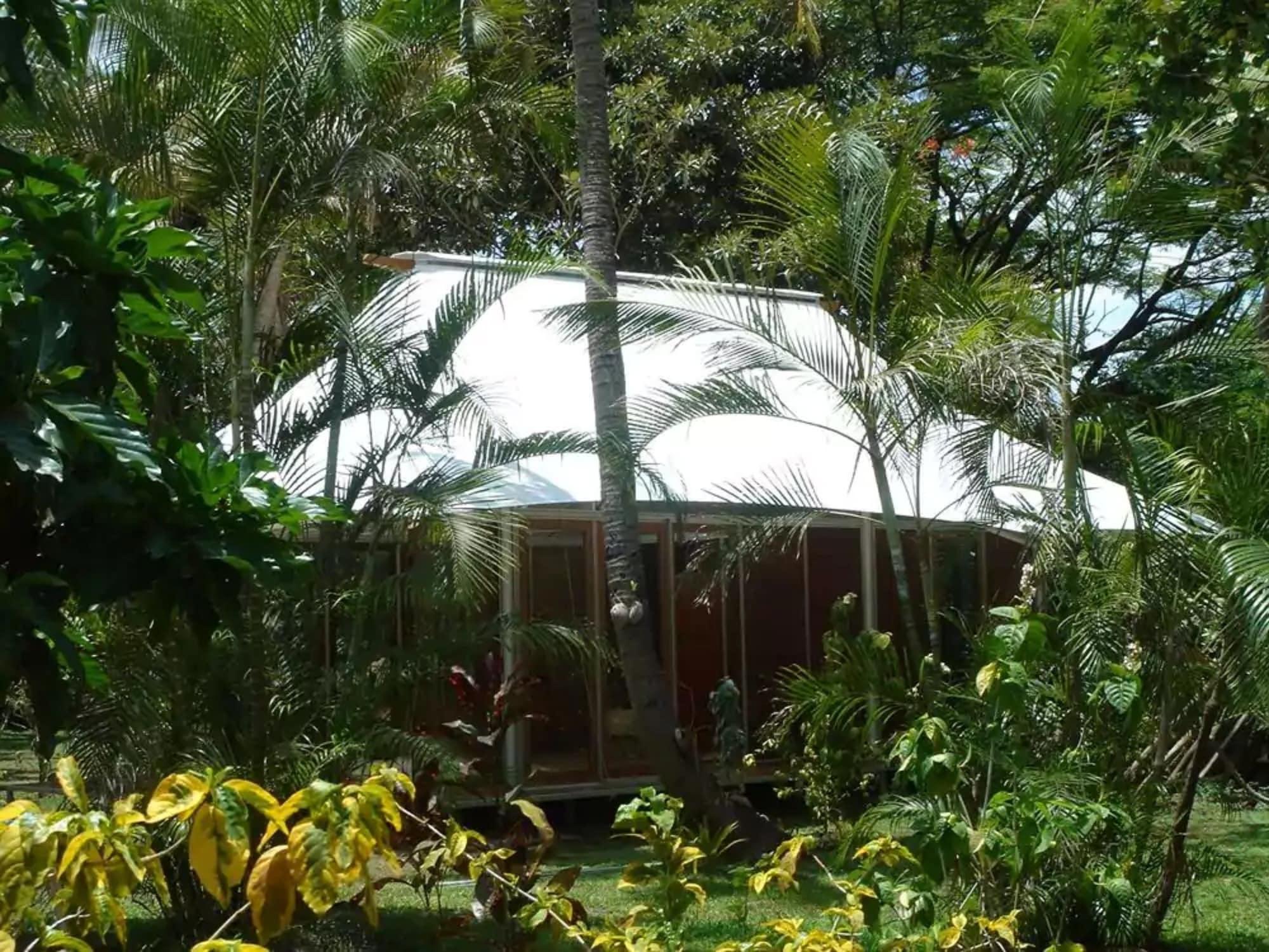 The Fiji Orchid 1203438 — 5