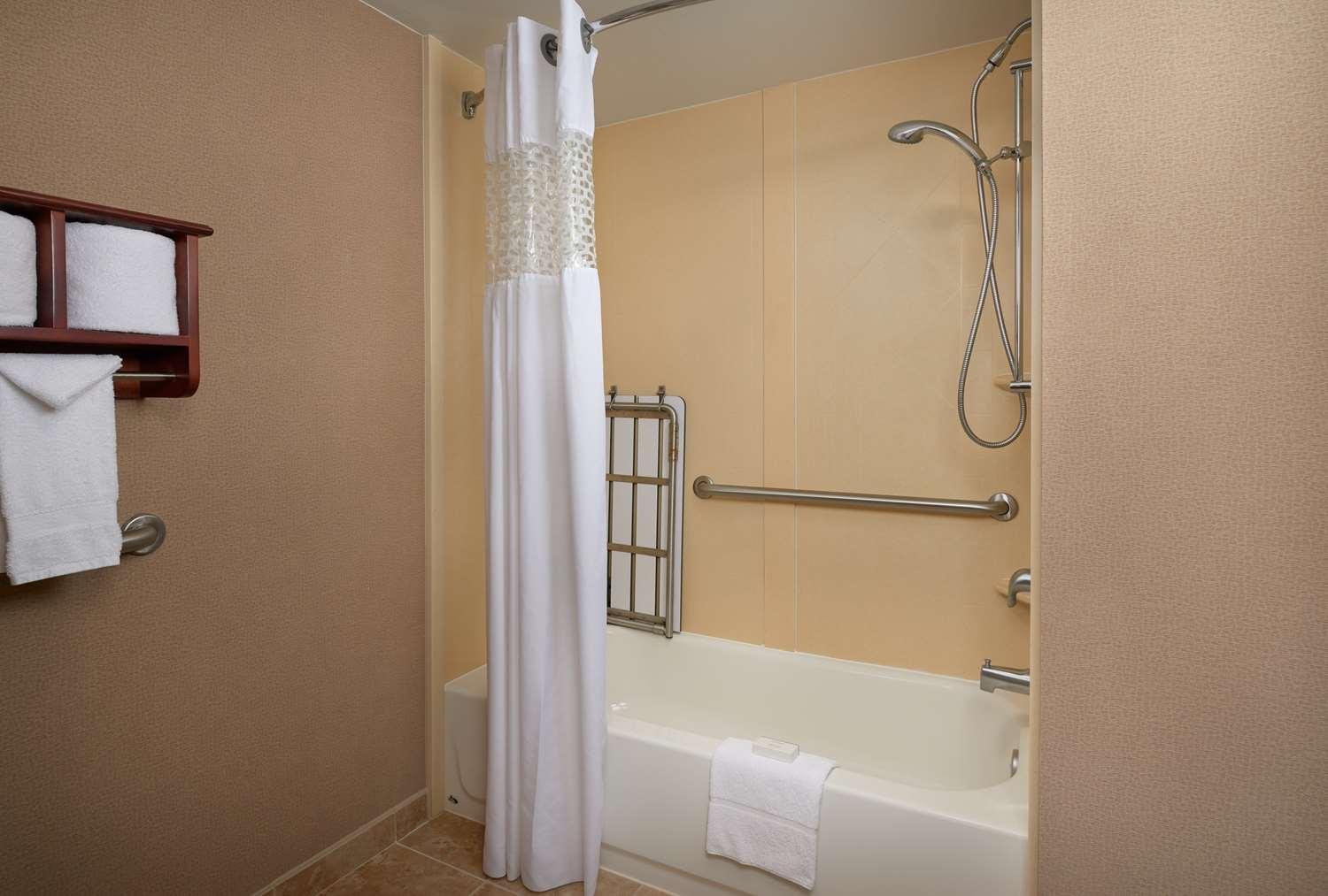 Hampton Inn Ann Arbor-South — 4