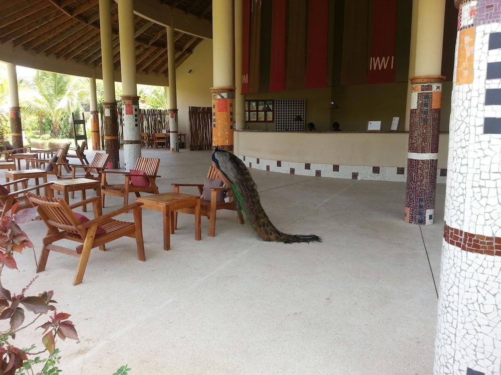 Hotel Club Royal Saly — 2