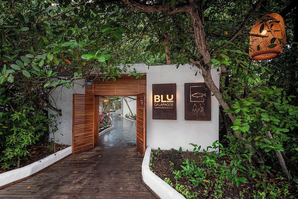 Red Mangrove Aventura Lodge 1147398 — 8