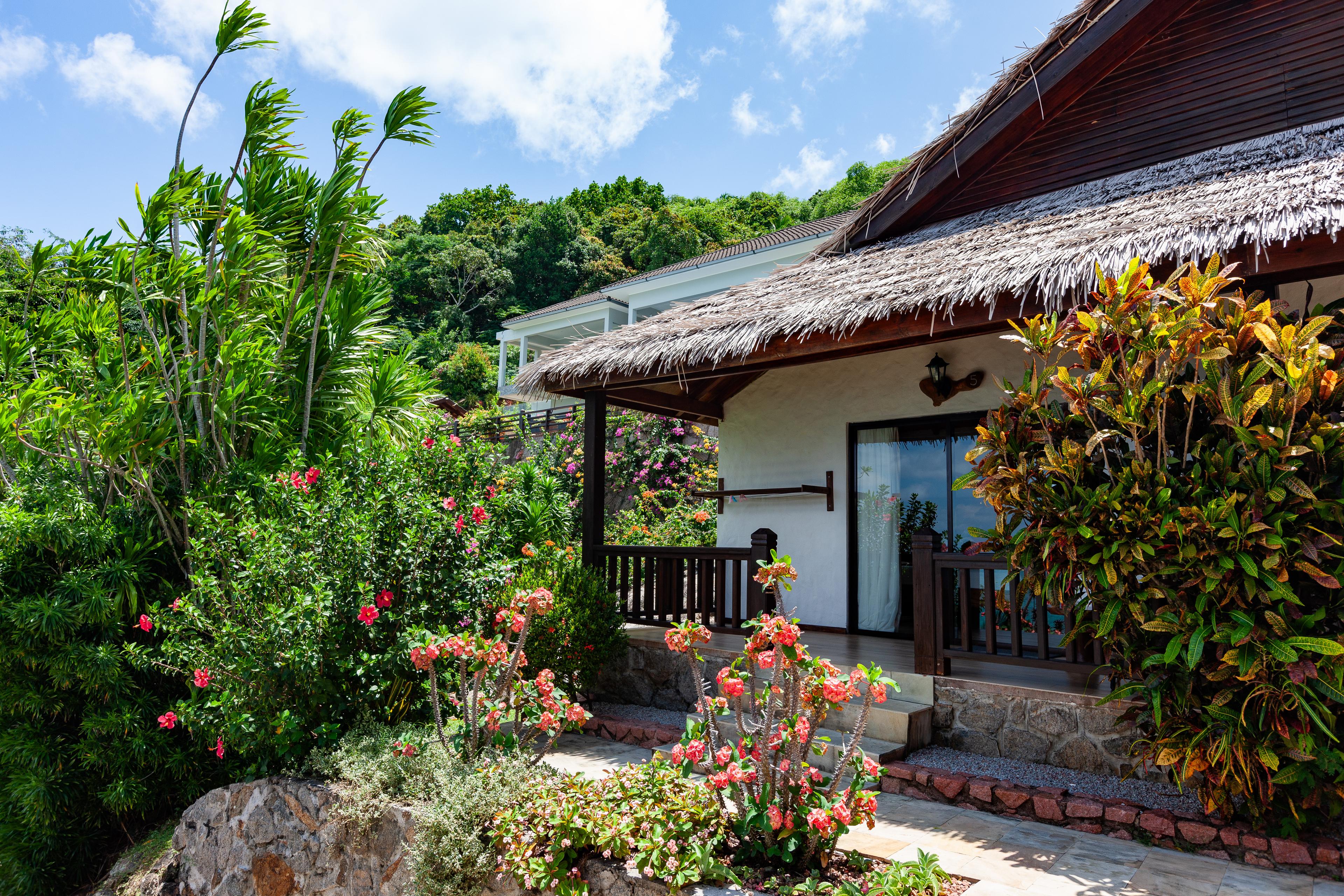 COLIBRI GUEST HOUSE(M) — 3