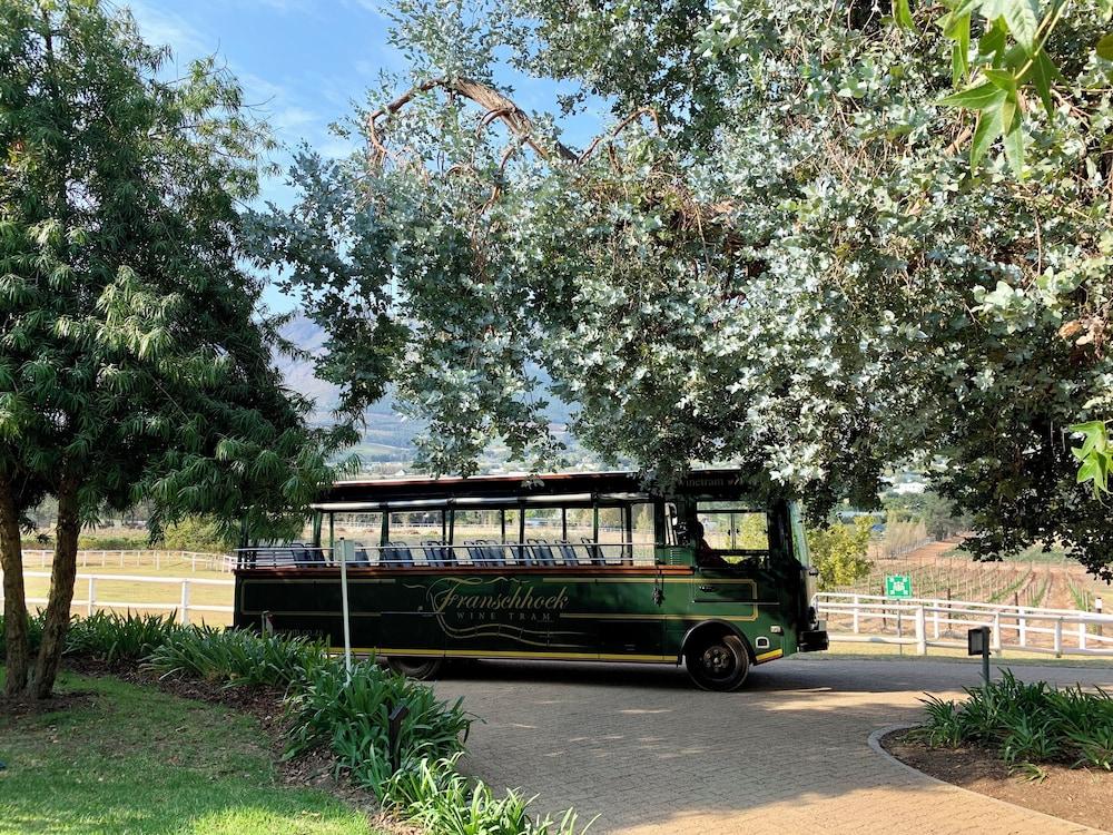 MONT ROCHELLE AND MOUNTAIN VINYARDS — 3